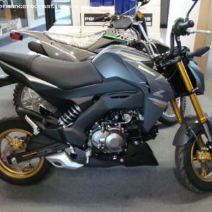 2024 Kawasaki Z 125