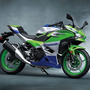 2024 Kawasaki Ninja 500 SE 40th Anniversary